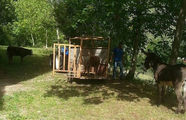 Agriturismo Tenuta del Daino - Foto 24