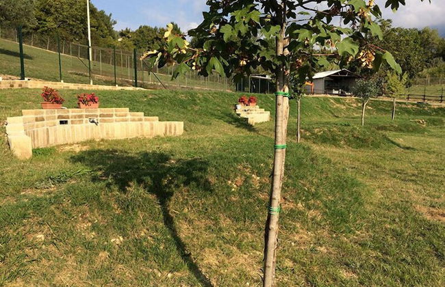 Agriturismo Tenuta del Daino - Foto 33