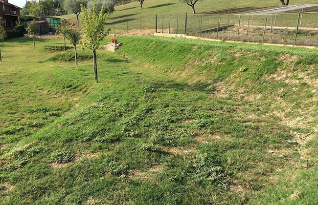 Agriturismo Tenuta del Daino - Foto 34