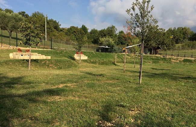 Agriturismo Tenuta del Daino - Foto 32
