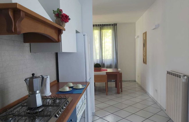 Bnbook - Villa Biancospino - Foto 16