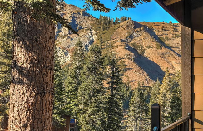 Alpine Meadows Peak 15 Min to Commons Beach - Photo 21