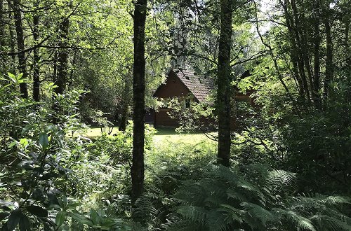 Photo 11 - Burnbank Lodges