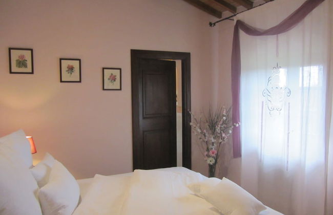 Tenuta di Seripa - Foto 37