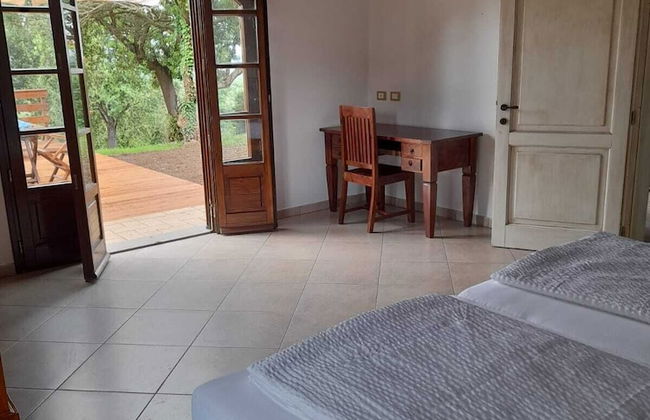 Tenuta di Seripa - Foto 36