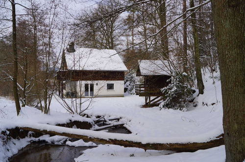 Foto 26 - Detached, Cosy Holiday Home With Sauna in a Wooded Area