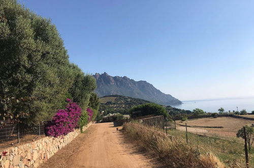 Foto 40 - Casa Vacanze al Mare la Casa del Geco