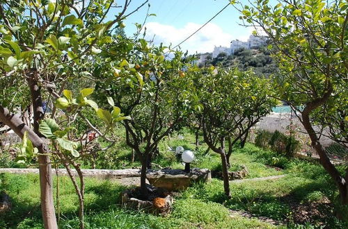 Photo 12 - Quiet Place With Efflorescent Garden