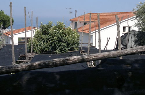 Photo 12 - Old Farmhouse Set In A Citrus Grove