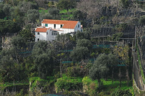 Foto 11 - Old Farmhouse Set In A Citrus Grove