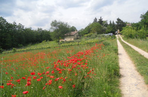 Photo 25 - idyllic old Charming Cottage Near Siena