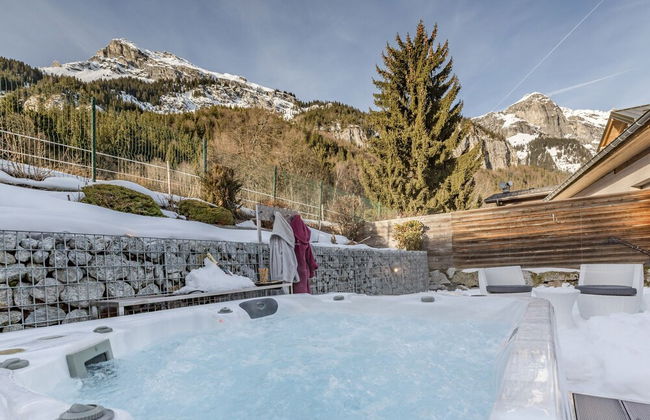 Les Edelweiss Mont-Blanc - Foto 13