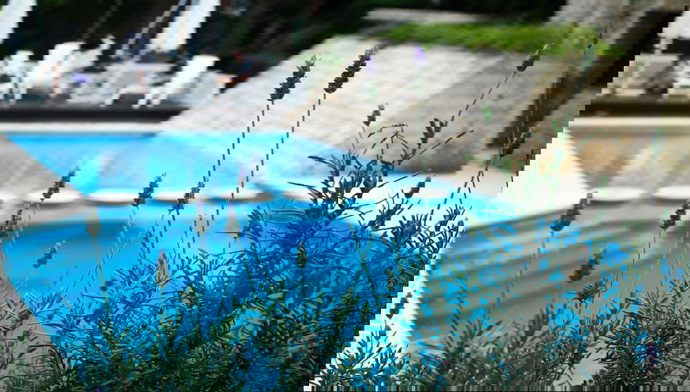 Imagem principal