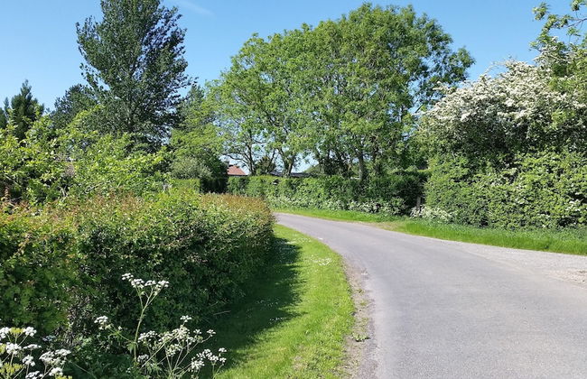 Tor Farm Lodge - Foto 49