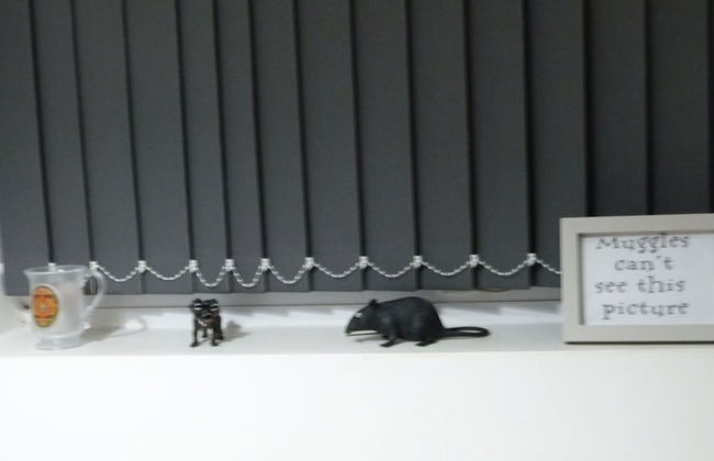 Spinners End - Foto 10