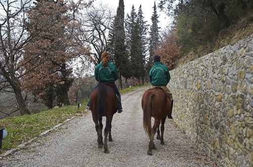 Photo 20 - Agriturismo Policleto