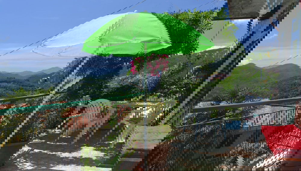 Imagem principal