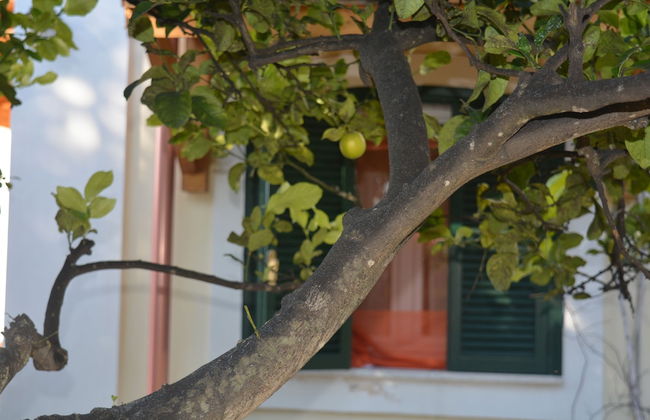 B&B Il Piccolo Principe - Foto 31