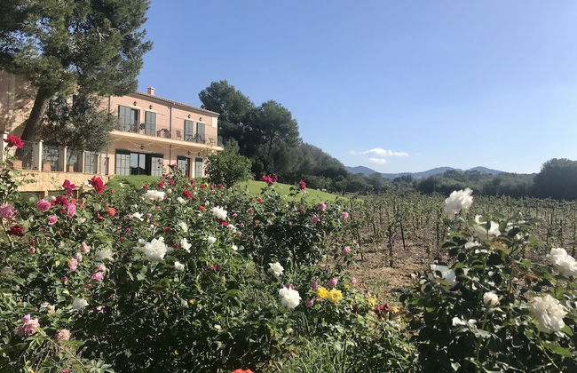 Son Menut - Foto 40