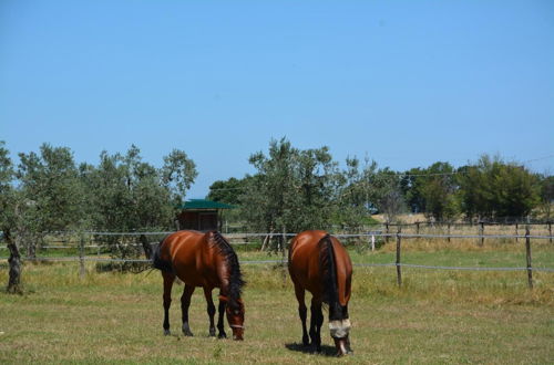 Photo 25 - Le Ghiande