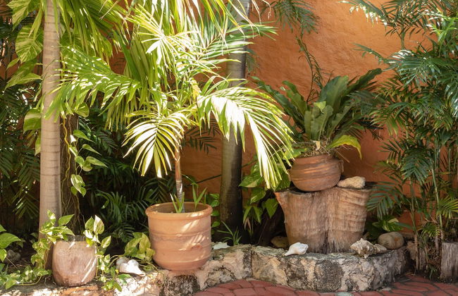 Casa Mulder - Foto 55
