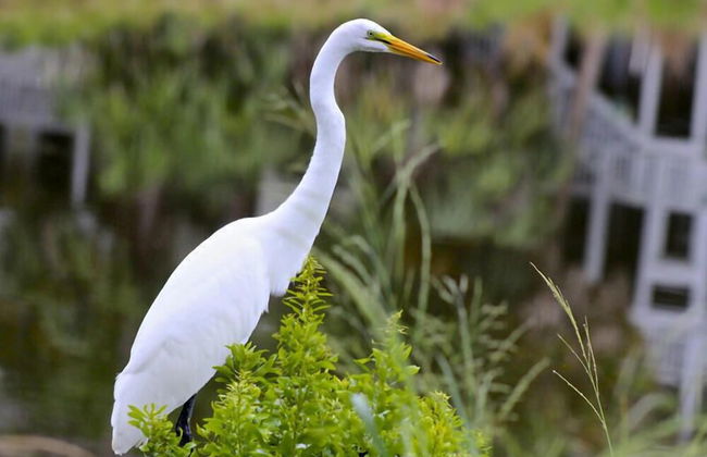 721 Sea Dragon Ln - Photo 43