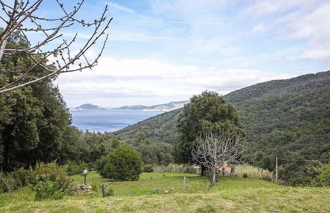 Villino Mare e Natura - Photo 15