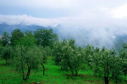 Foto 58 - Podere il Poggiolo