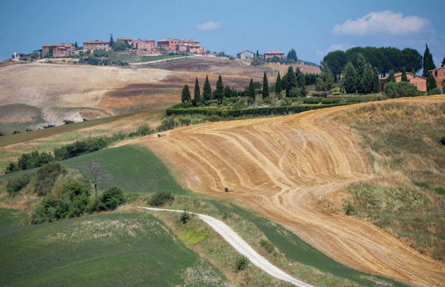 Rustic Tuscan Farmhouse - Foto 26