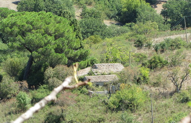 Agriturismo San Pietro - Photo 61