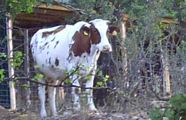 Agriturismo San Pietro - Photo 42