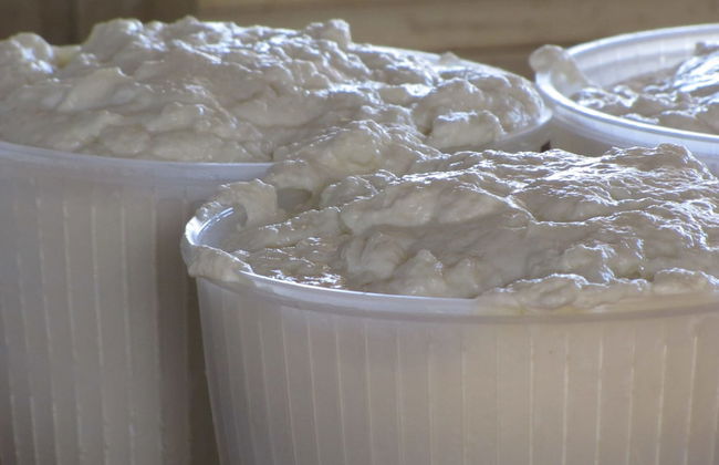 Agriturismo San Pietro - Photo 23