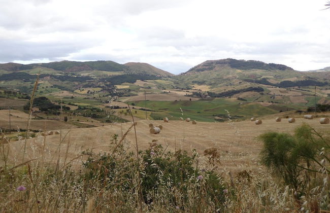 Agriturismo San Pietro - Photo 44