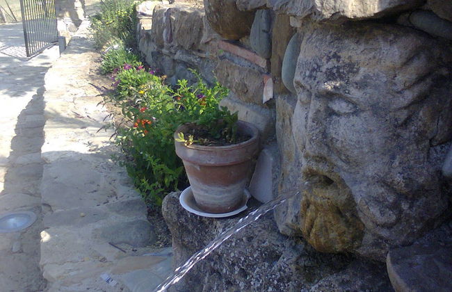 Agriturismo San Pietro - Photo 56