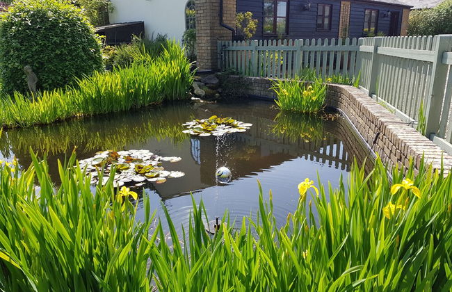 Hawthorn Farm Cottages - Foto 48