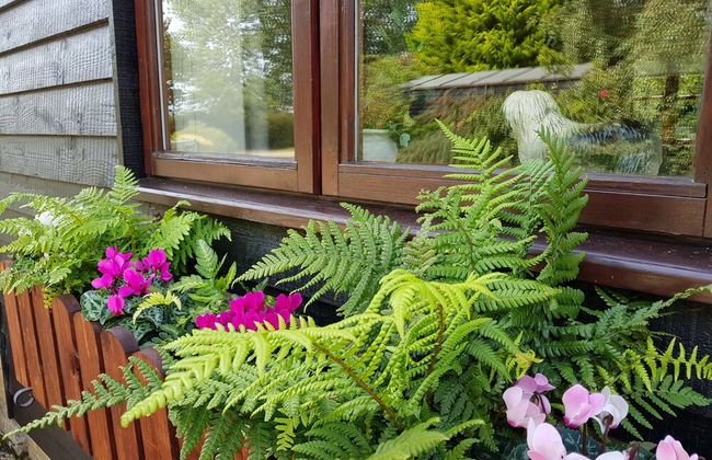 Hawthorn Farm Cottages - Foto 63