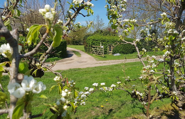 Hawthorn Farm Cottages - Foto 51