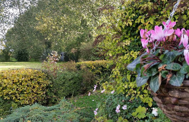 Hawthorn Farm Cottages - Foto 56