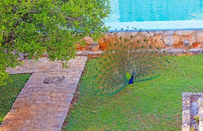 HACIENDA HISTÓRICA Blanca Flor Del Siglo XVI - Foto 17