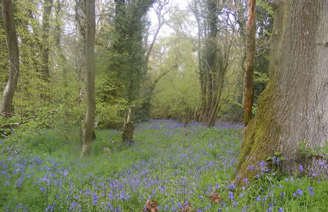 Marshwood Farm B&B - Foto 19
