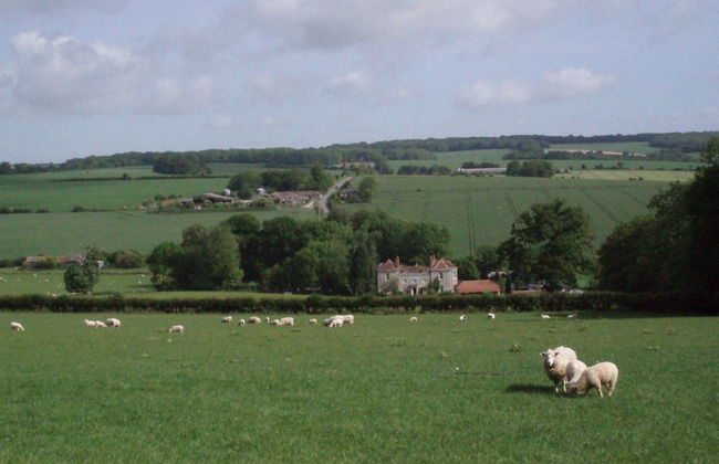 Marshwood Farm B&B - Foto 21