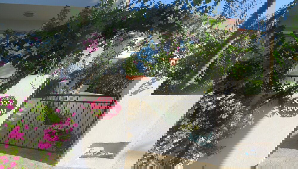 Image principale