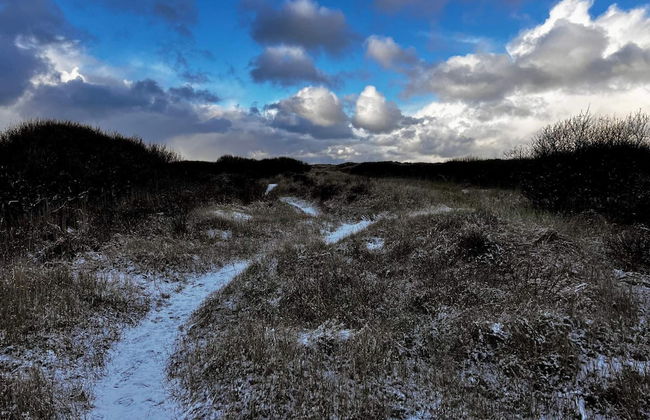 5 Person Holiday Home in Skagen-by Traum - Foto 6