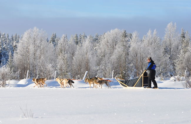 Wilderness chalet Kuusamo - Foto 47