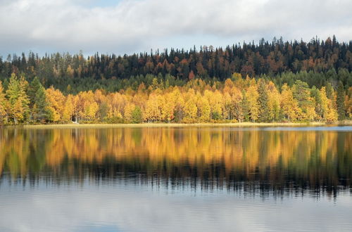 Photo 62 - Wilderness chalet Kuusamo