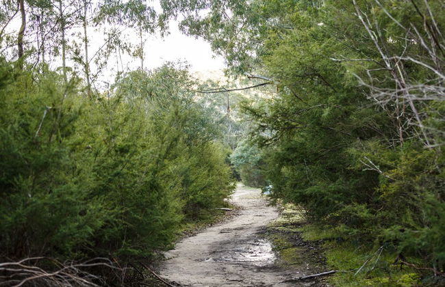 Yering Gorge Cottages - Foto 30