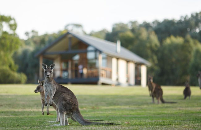 Yering Gorge Cottages - Foto 1