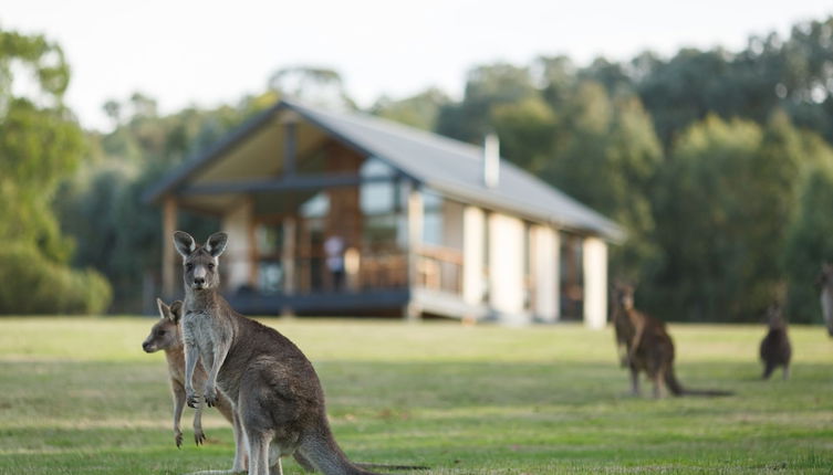 Photo 1 - Yering Gorge Cottages