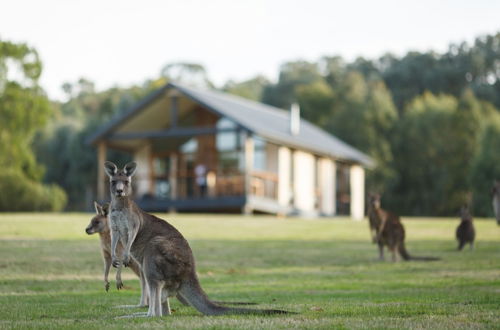 Photo 1 - Yering Gorge Cottages