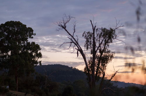 Photo 69 - Yering Gorge Cottages